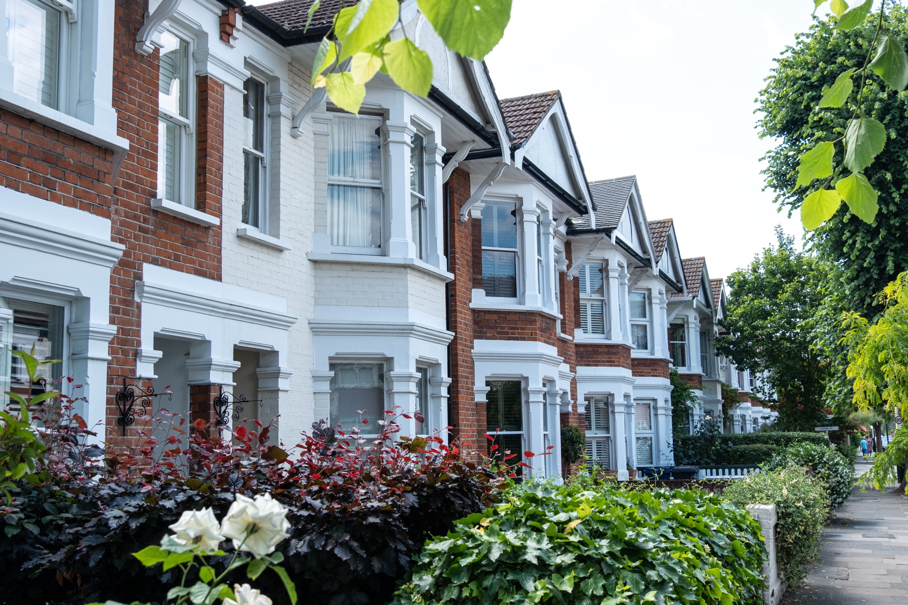Property Surveys